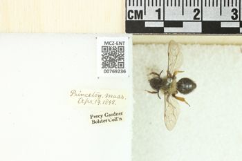 Media type: image;   Entomology 769236 Aspect: Labels